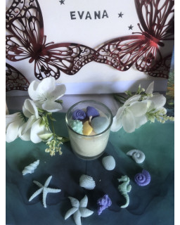 mini coquillages (X10)