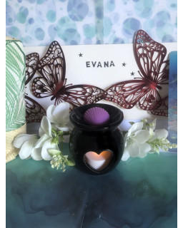 Coquillage des sables