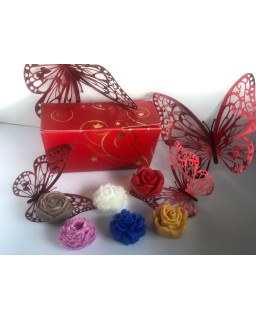 Box fleurs (6+1 offerte)